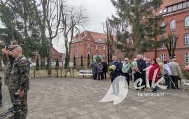 Zdjęcie: 17
