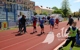 Zdjęcie: 19