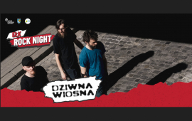 Zdjęcie: 0