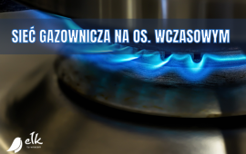 Zdjęcie: 0