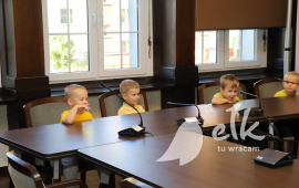 Zdjęcie: 11