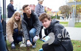 Zdjęcie: 5