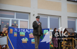 Zdjęcie: 6