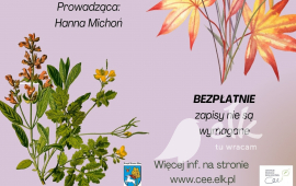 Zdjęcie: 1