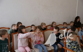 Zdjęcie: 8