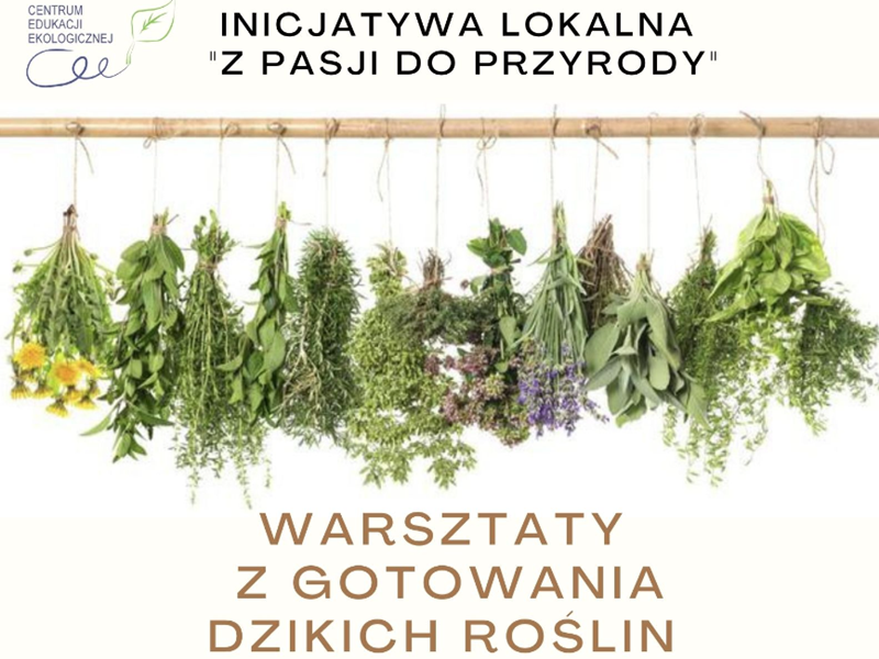 Warsztaty z gotowania dzikich roślin