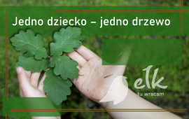 Zdjęcie: 0
