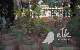 Zdjęcie: 8