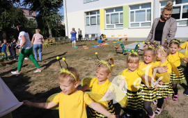 Zdjęcie: 2