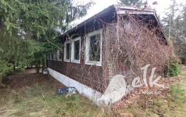 Zdjęcie: 1