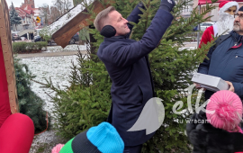 Zdjęcie: 10