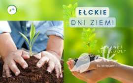 Zdjęcie: 0