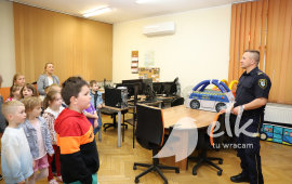 Zdjęcie: 13