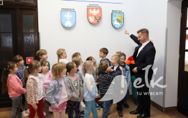 Zdjęcie: 8