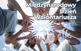 Zdjęcie: 0