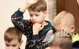 Zdjęcie: 3