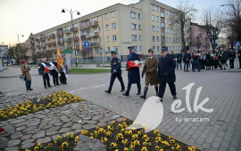 Zdjęcie: 39