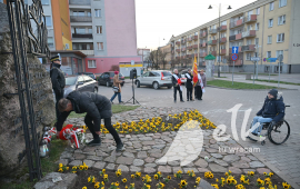 Zdjęcie: 15
