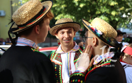 Zdjęcie: 1