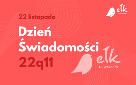 Zdjęcie: 0