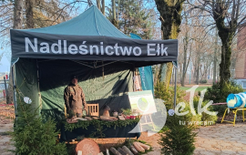Zdjęcie: 0
