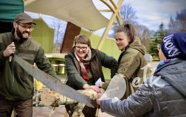 Zdjęcie: 0