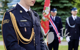 Zdjęcie: 14