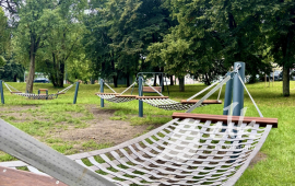 Zdjęcie: 1