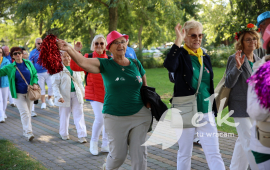 Zdjęcie: 6